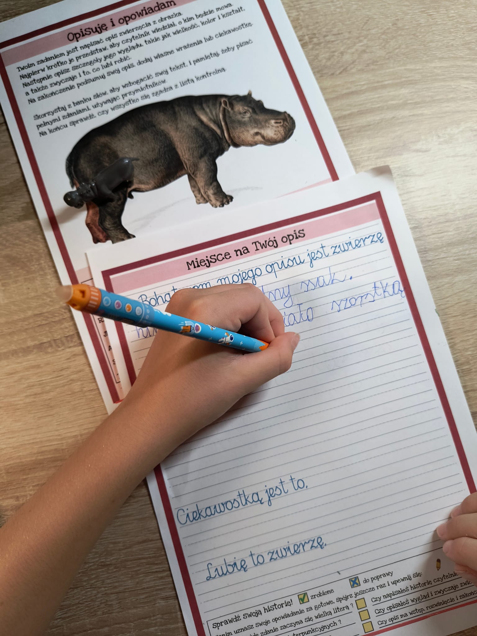 nauczycz sie pisac opisy7