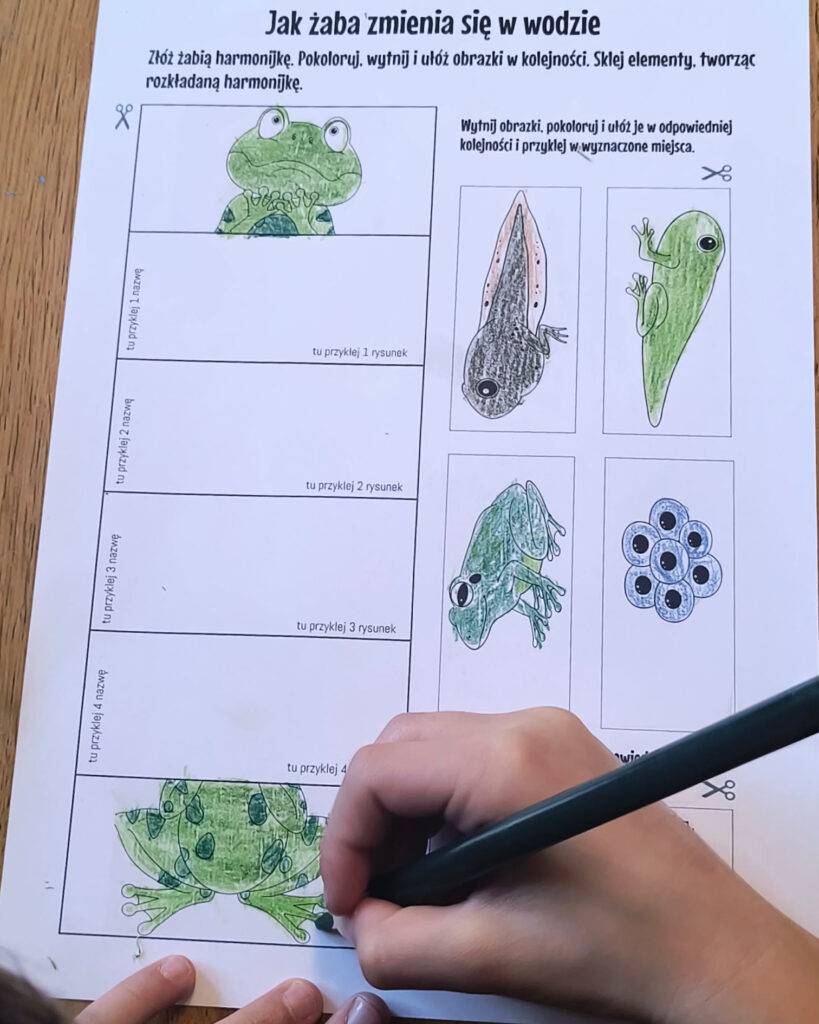 lapbook 3d