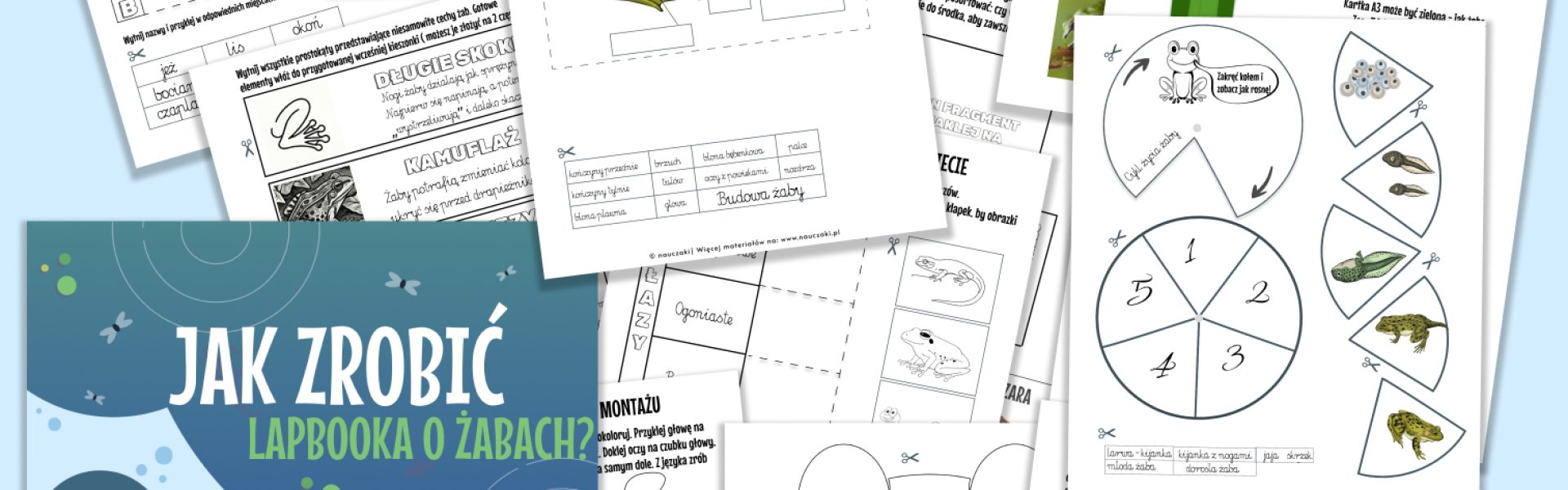 lapbook 3d